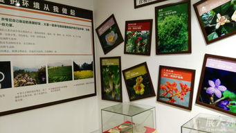 三牛文化攜手桂林植物園科普展廳，展大師特裝工廠鑄就專業(yè)展覽新典范